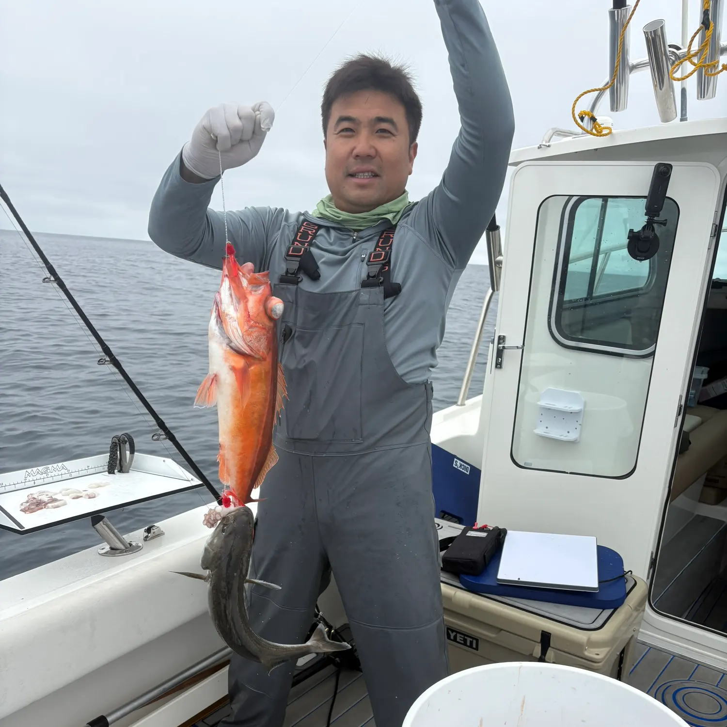 The most recent Chilipepper catches on Fishbrain