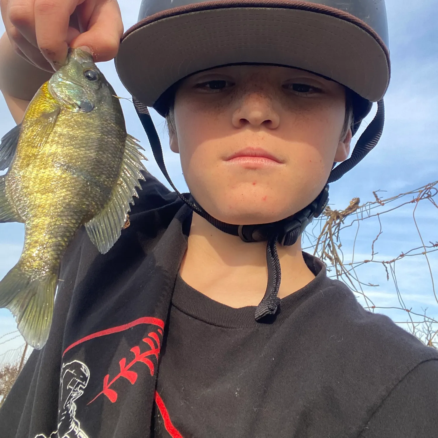 The most recent Bluegill catches on Fishbrain