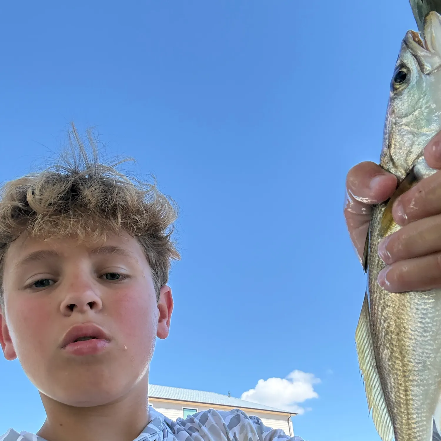 Sand seatrout caught on Fishbrain