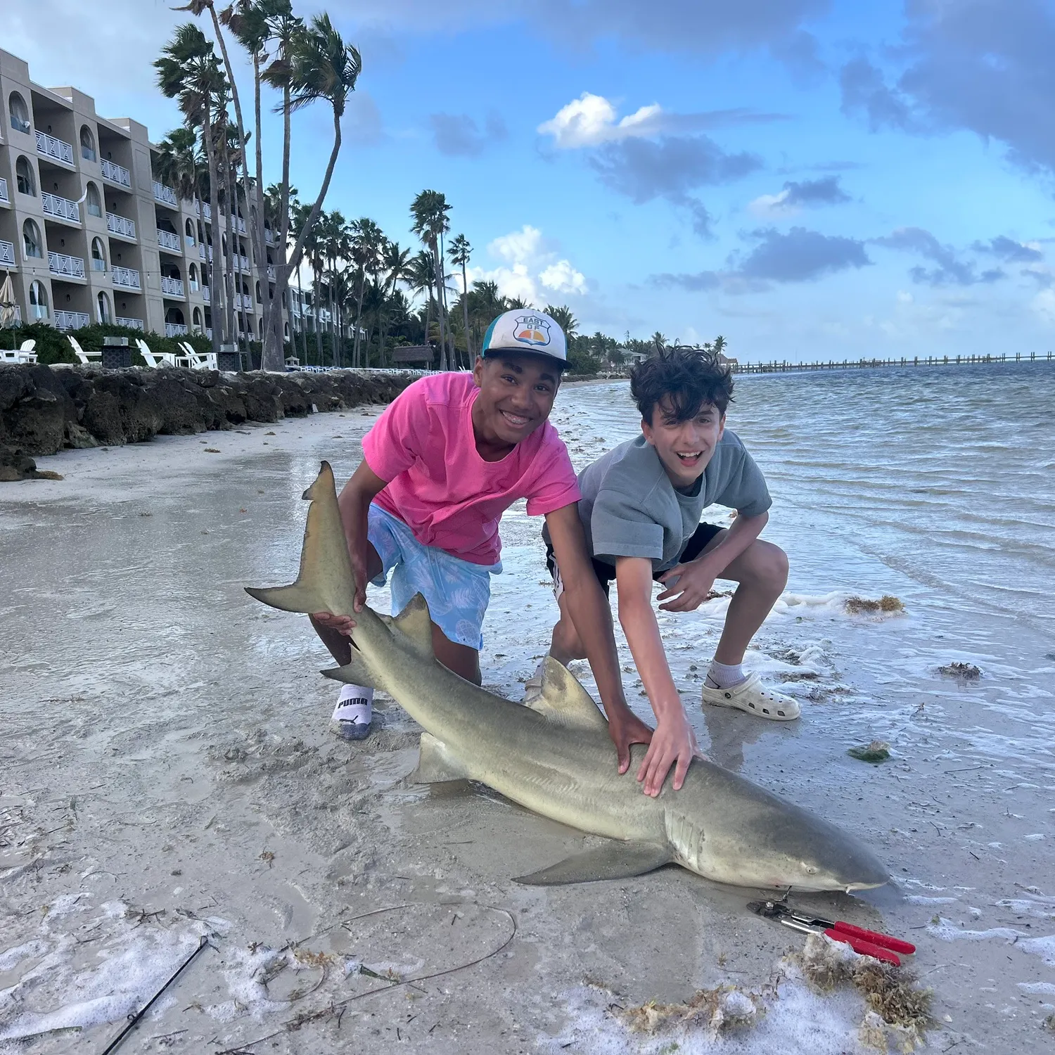 The most recent Lemon shark catches on Fishbrain