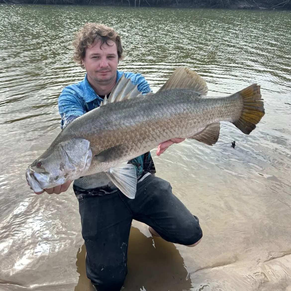 Barramundi caught on Fishbrain