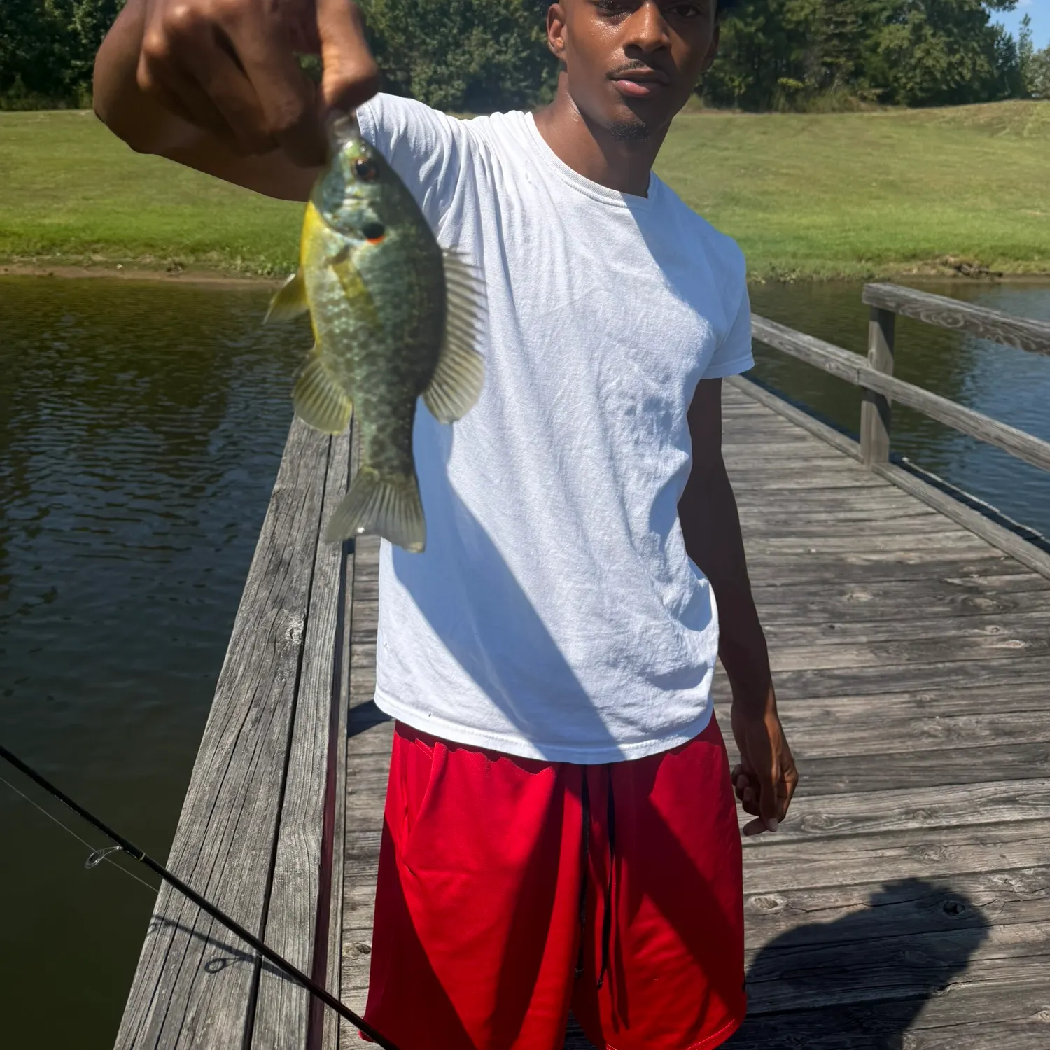Redear sunfish caught on Fishbrain
