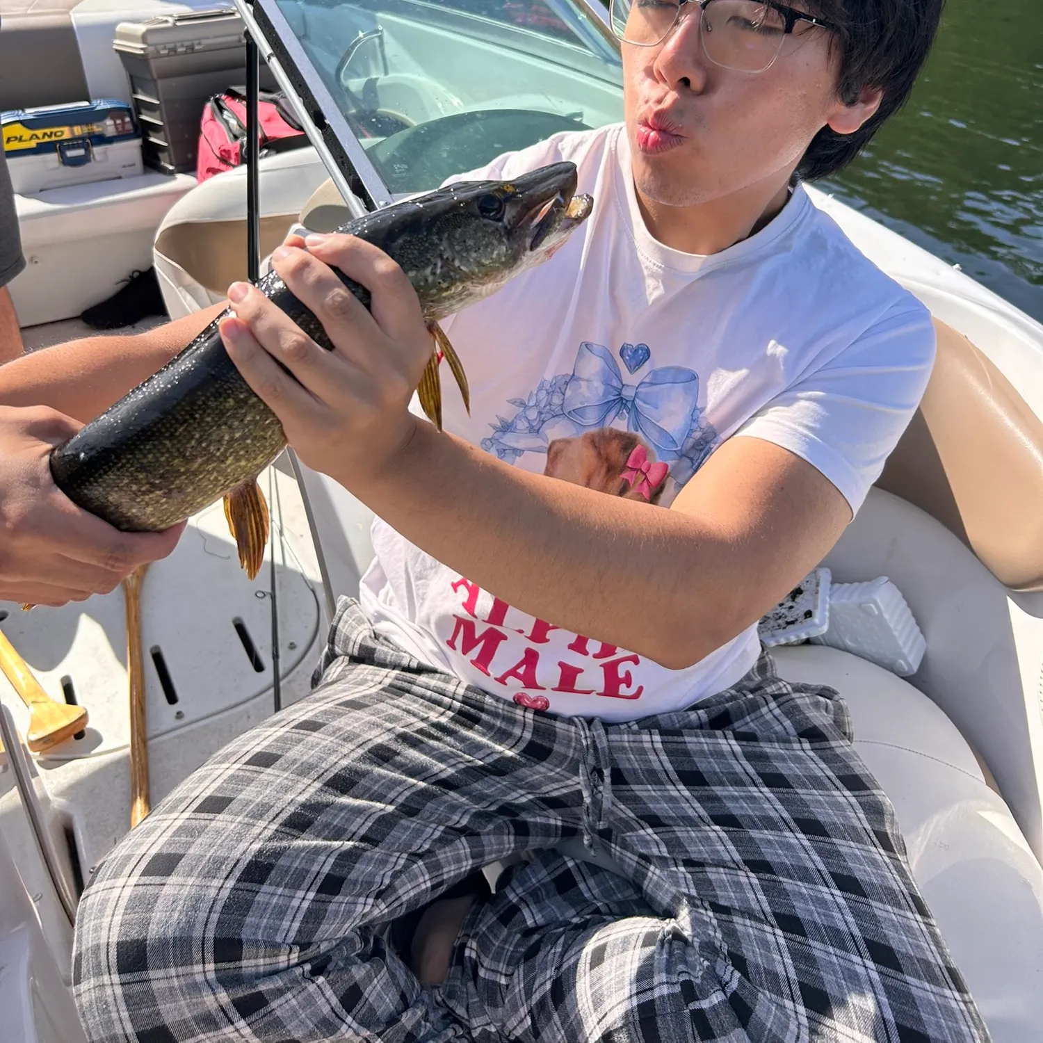 Northern pike caught on Fishbrain
