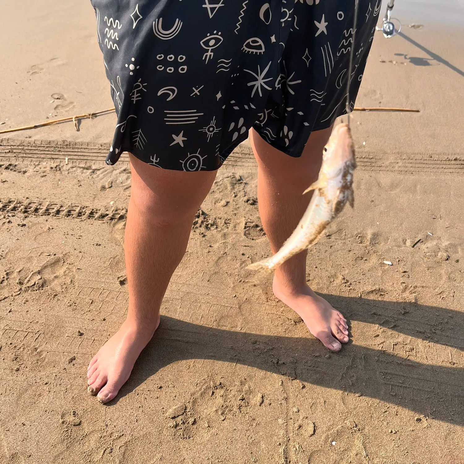 The most recent Brushtooth lizardfish catches on Fishbrain