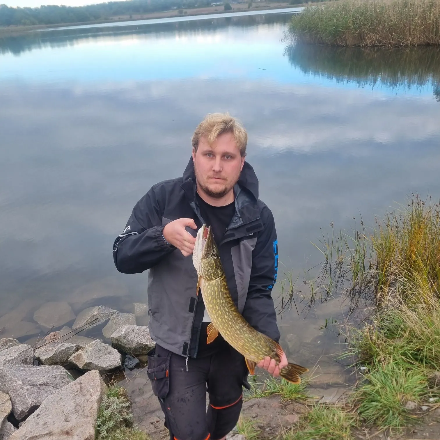 Northern pike caught on Fishbrain
