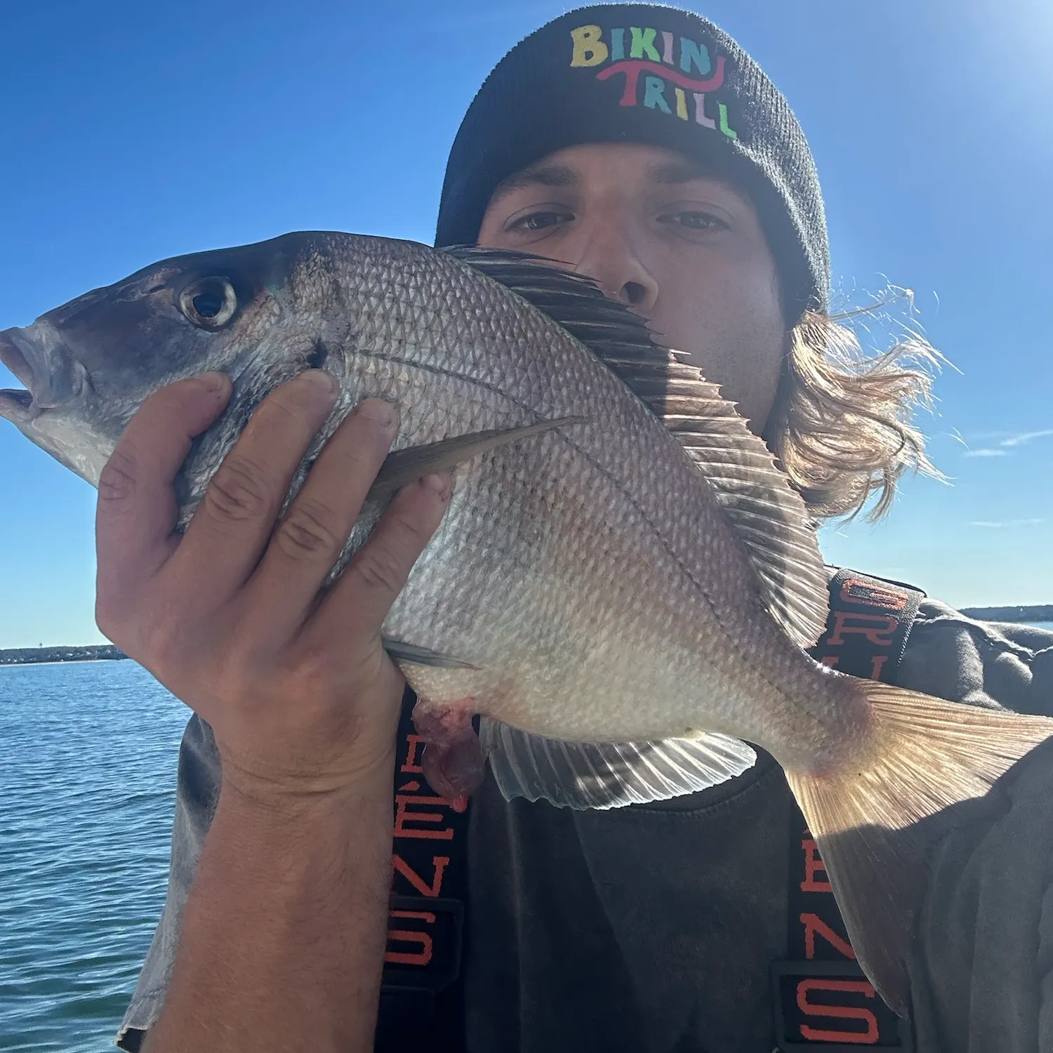 The most recent Scup catches on Fishbrain