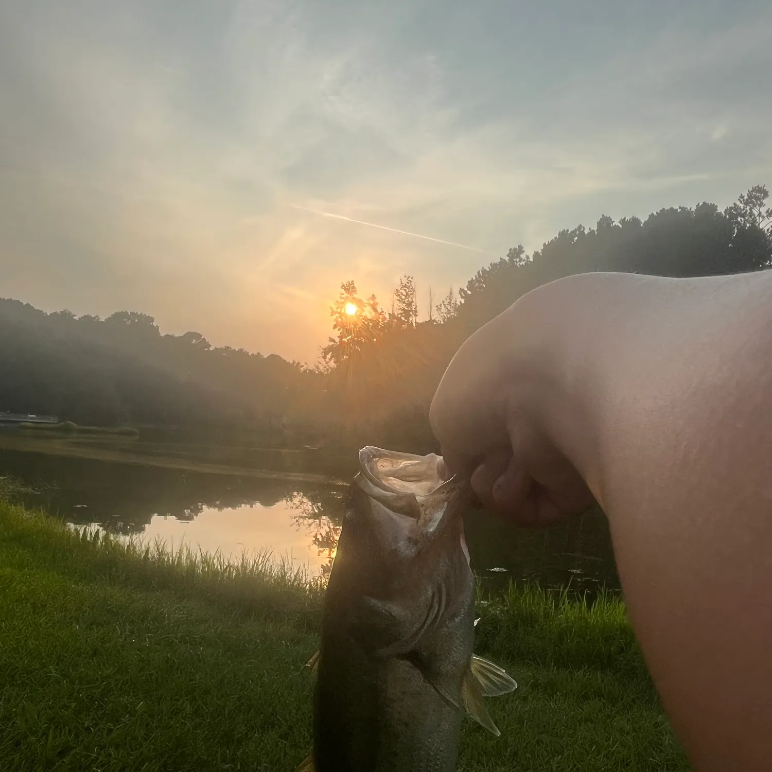 Fish caught on Fishbrain