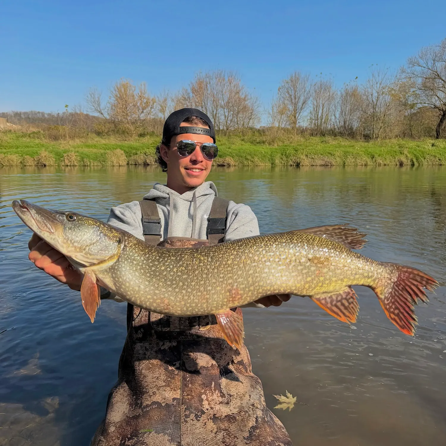 Northern pike caught on Fishbrain