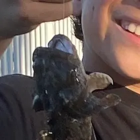 The most recent Oyster toadfish catches on Fishbrain