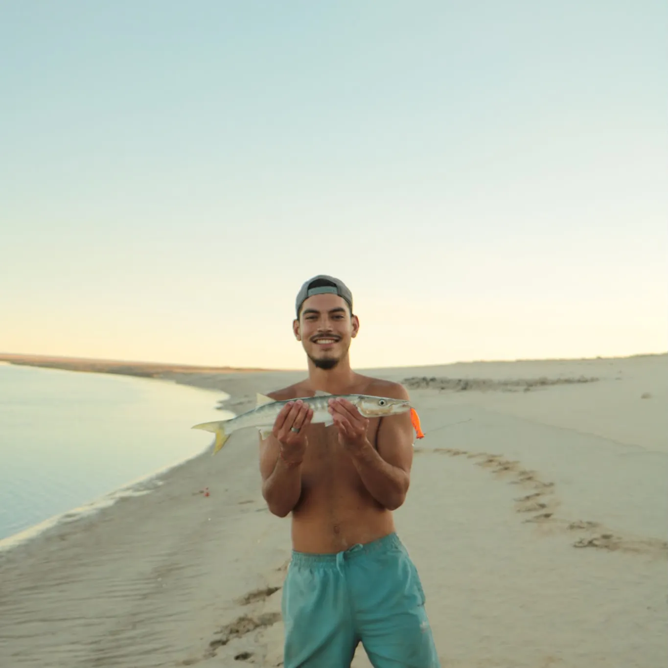 Hound needlefish caught on Fishbrain