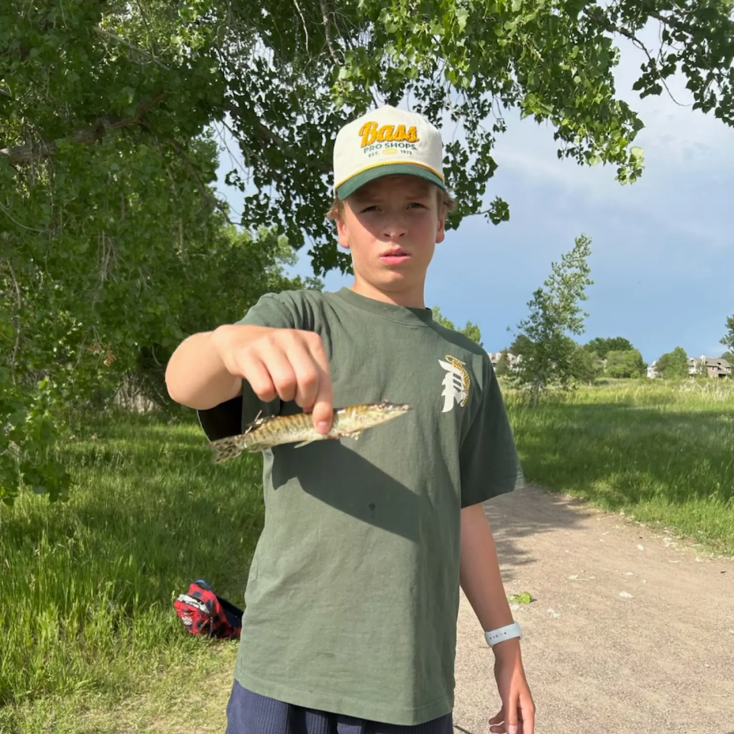 catch