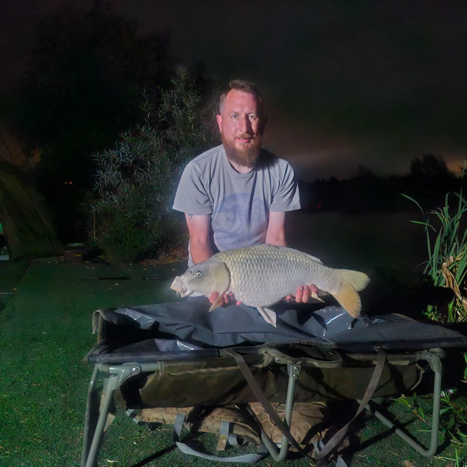 Common carp caught on Fishbrain