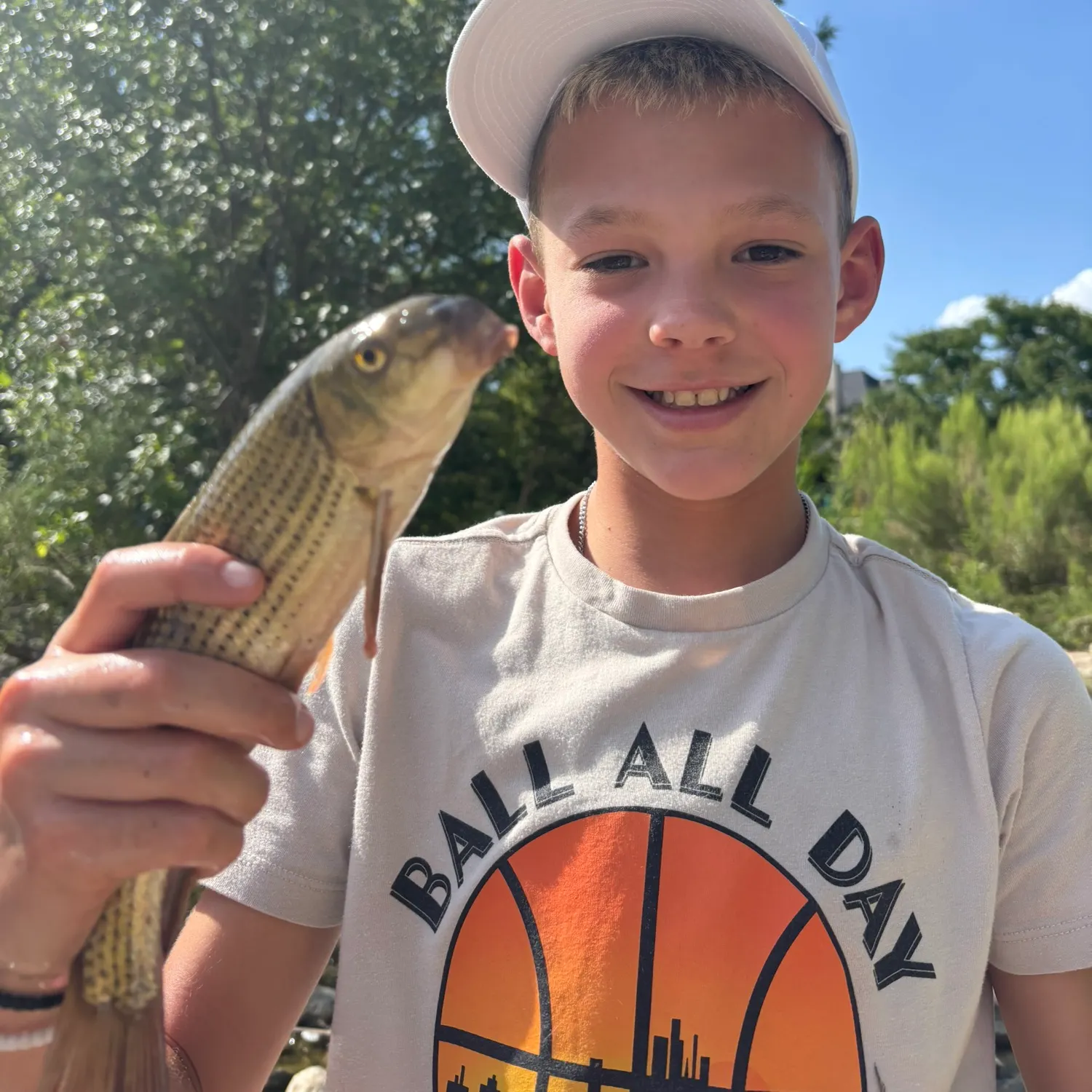 Common carp caught on Fishbrain