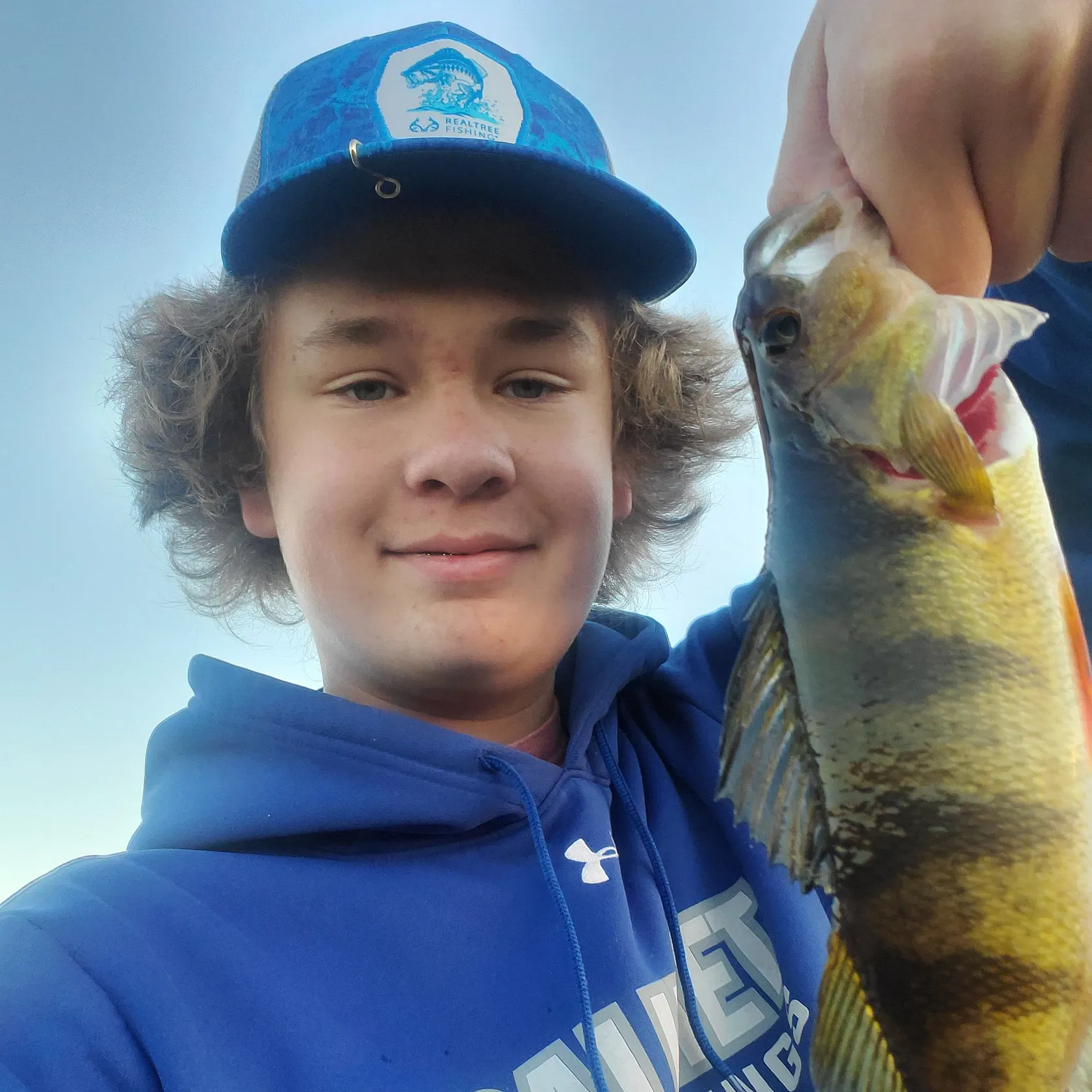 Yellow perch caught on Fishbrain