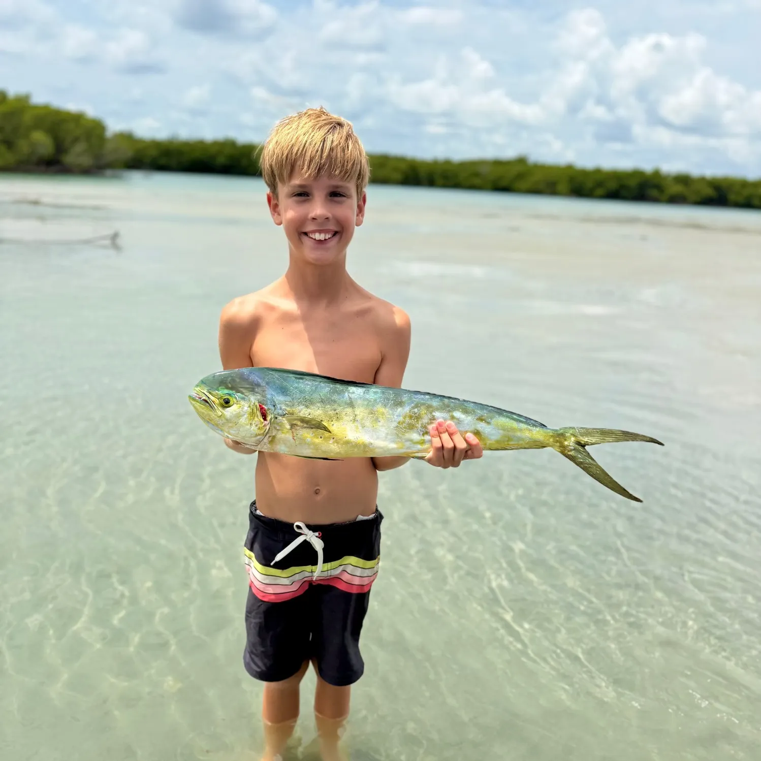 The most recent Common dolphinfish catches on Fishbrain