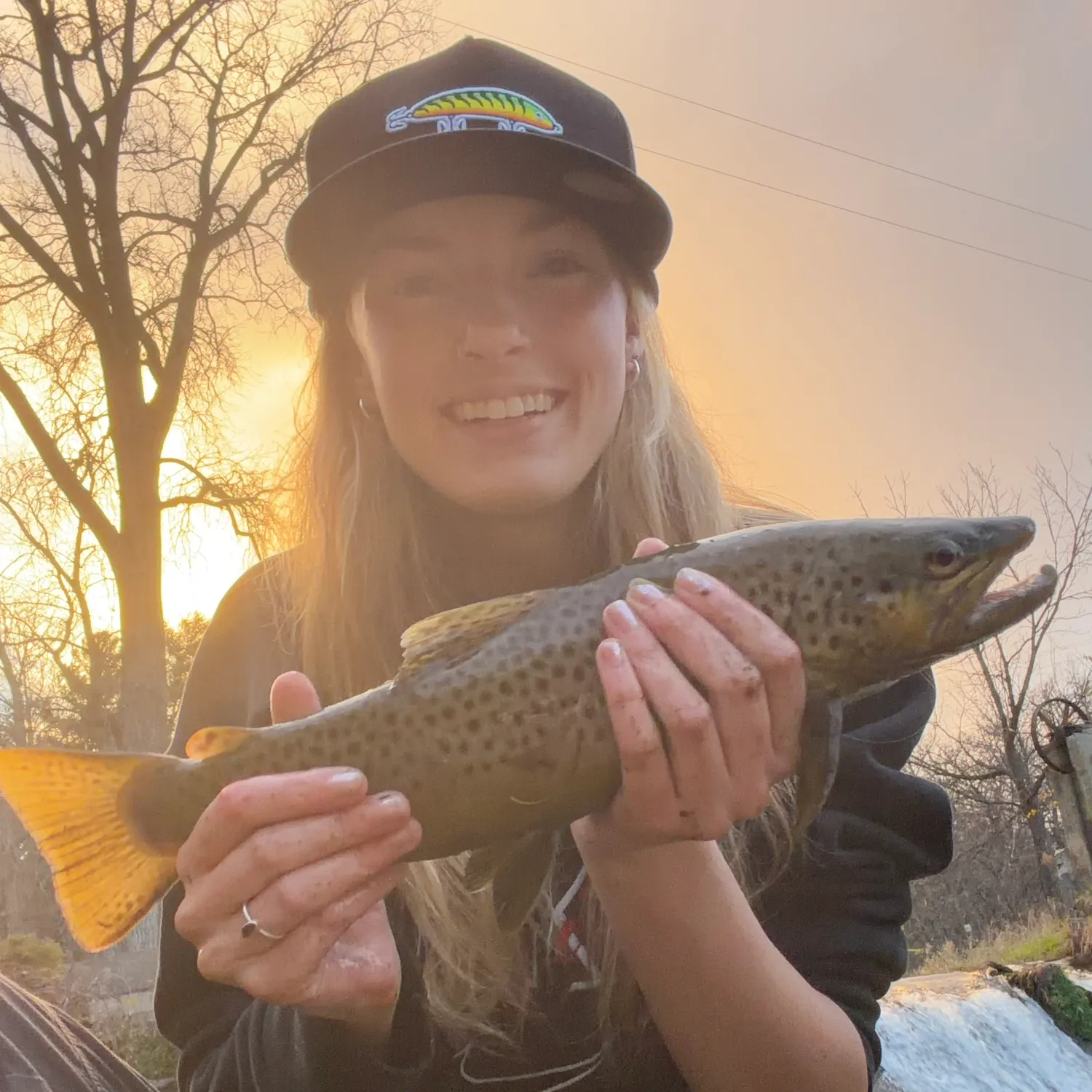 Brown trout caught on Fishbrain