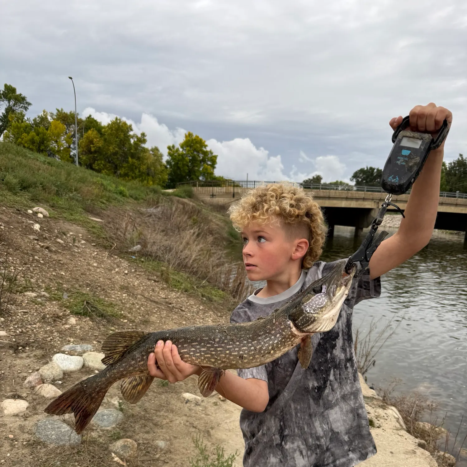 Northern pike caught on Fishbrain