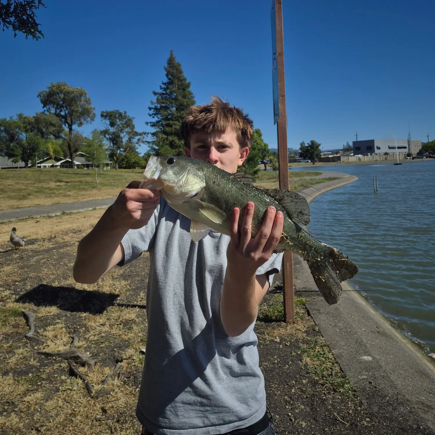 catch