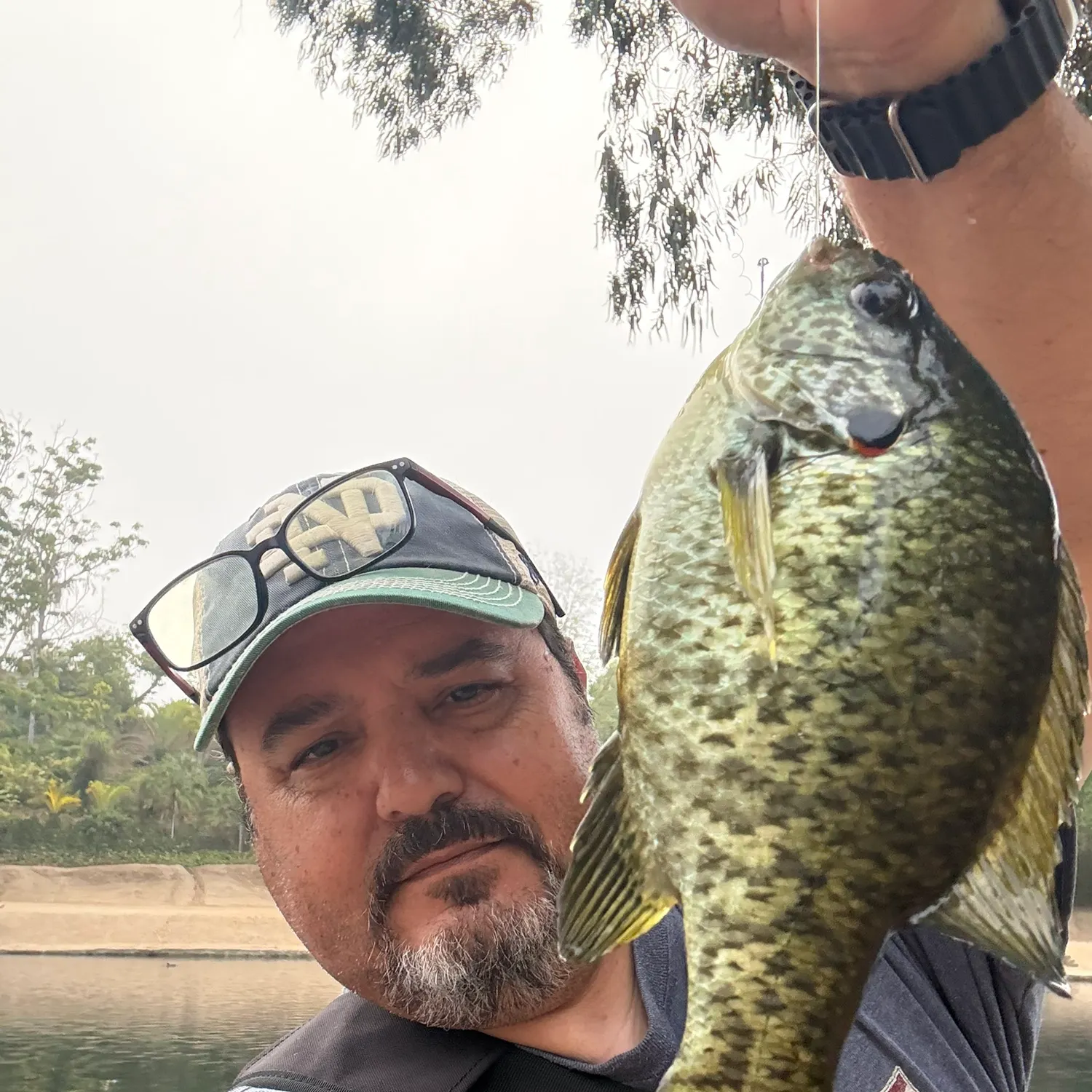 Redear sunfish caught on Fishbrain