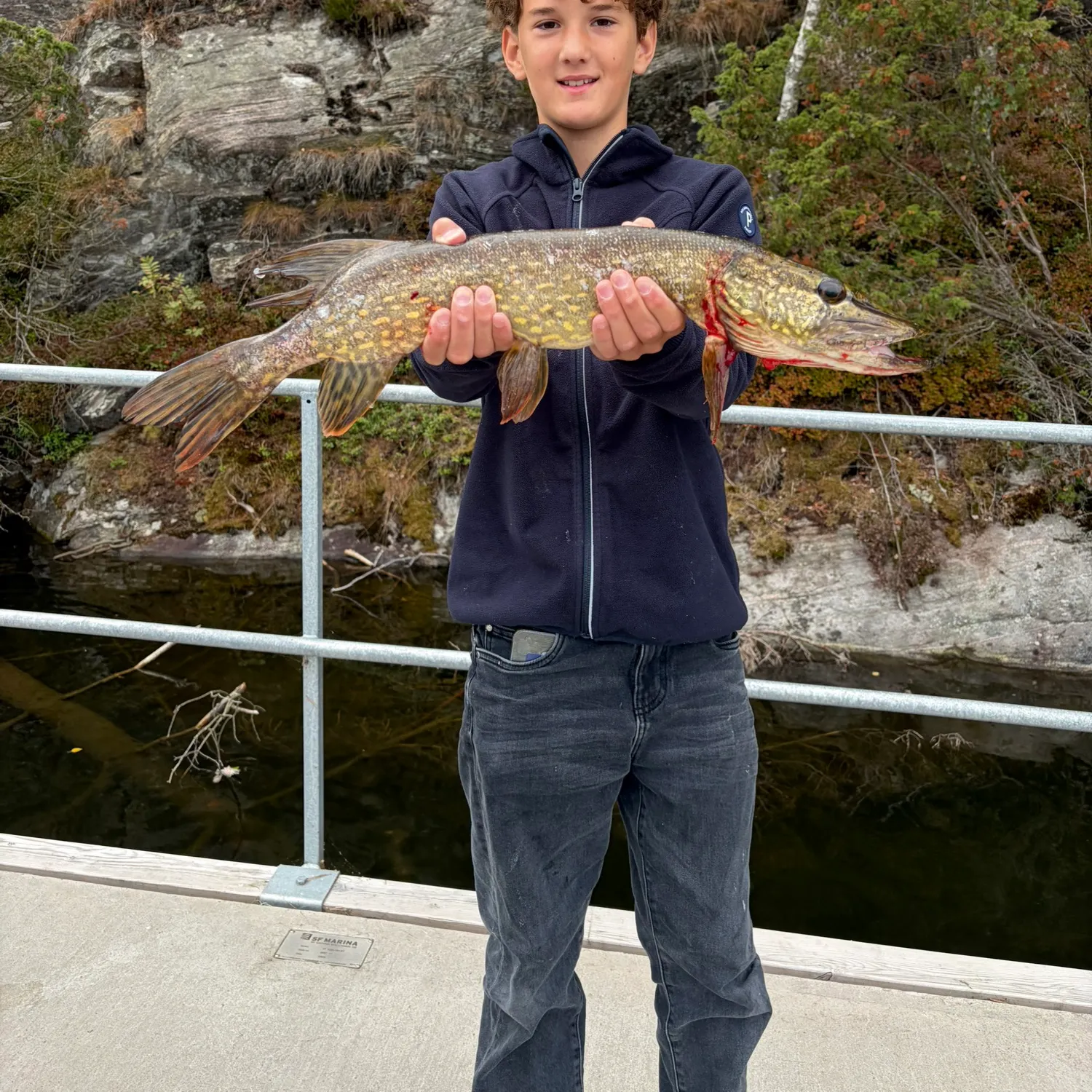 Northern pike caught on Fishbrain
