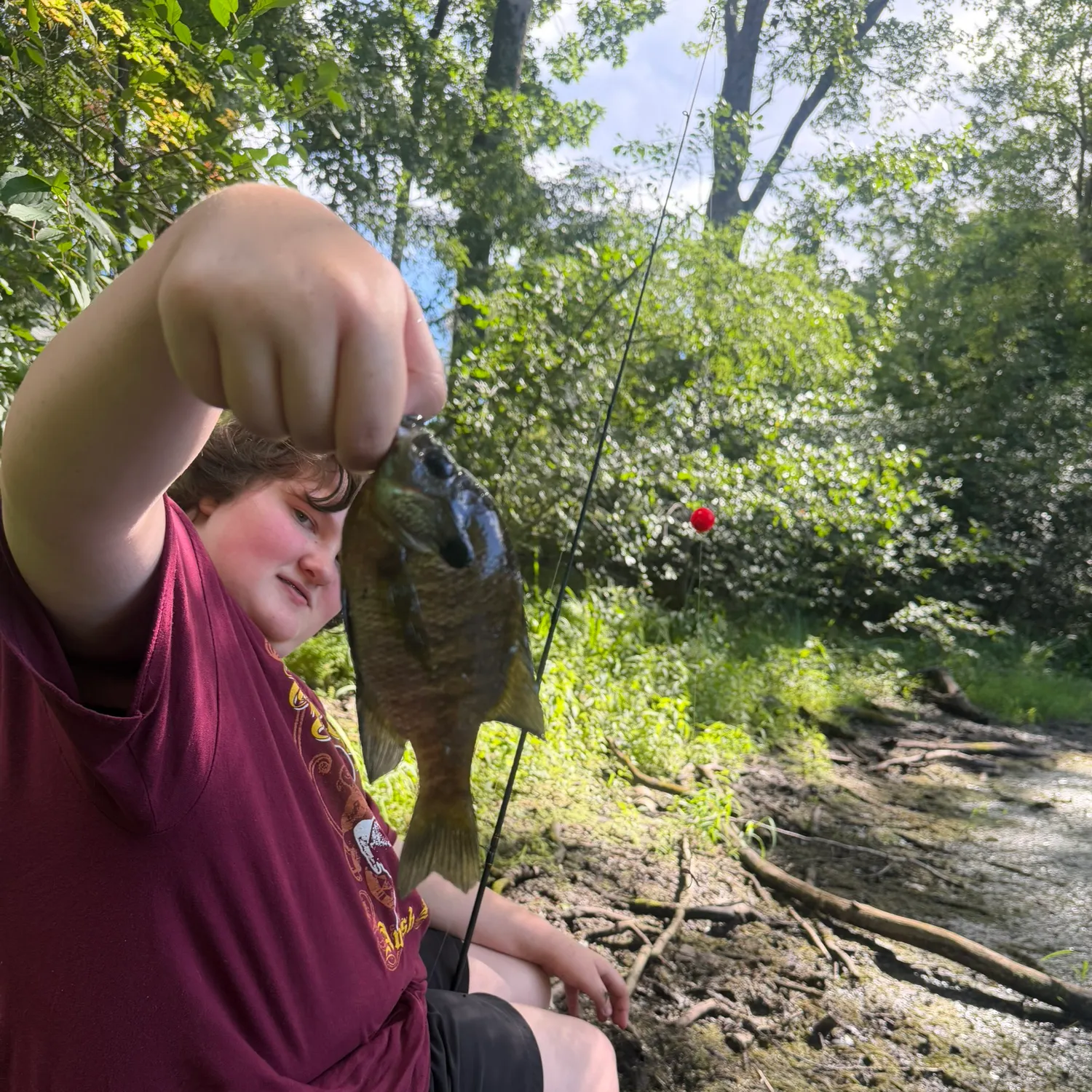 Bluegill caught on Fishbrain