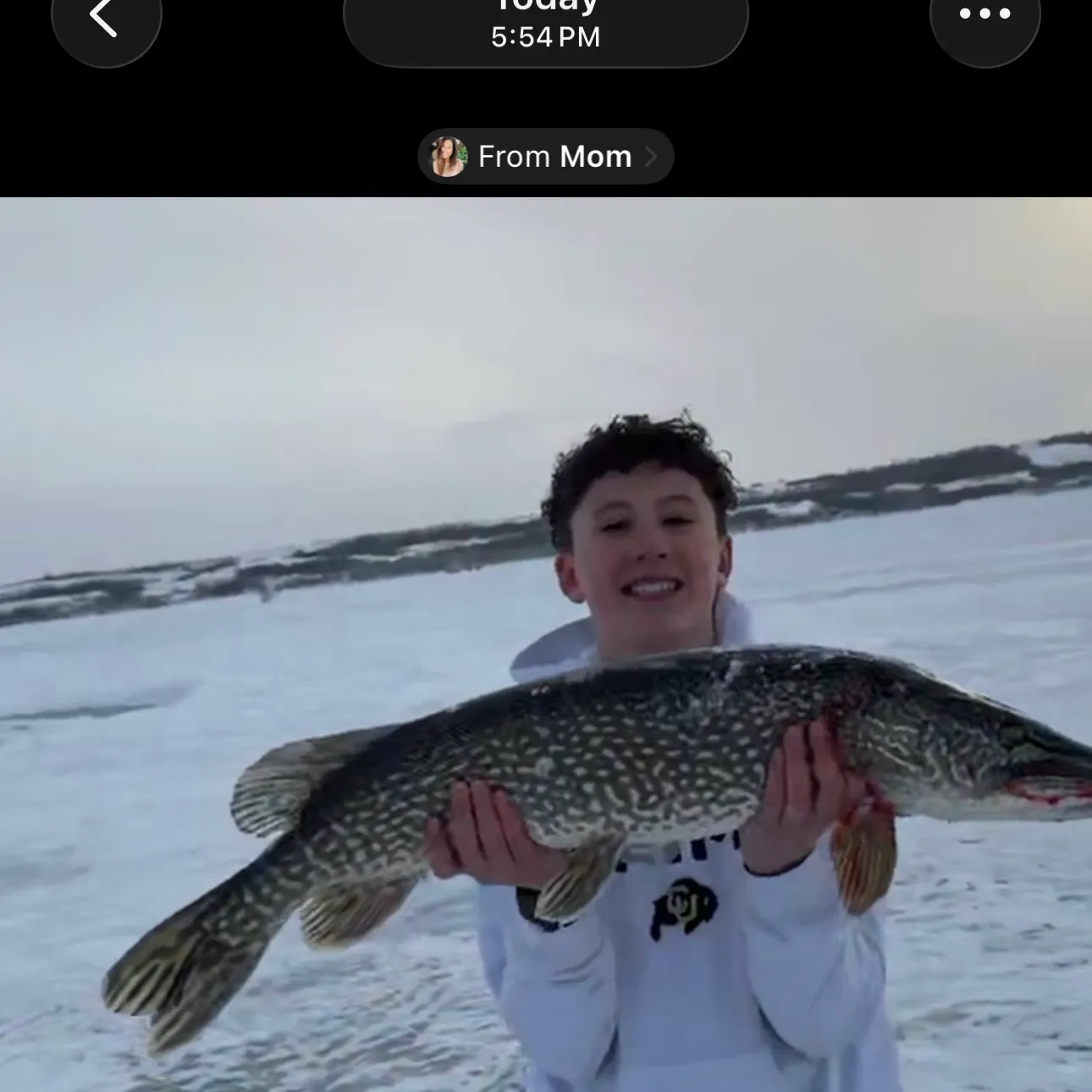 The most recent Northern pike catches on Fishbrain