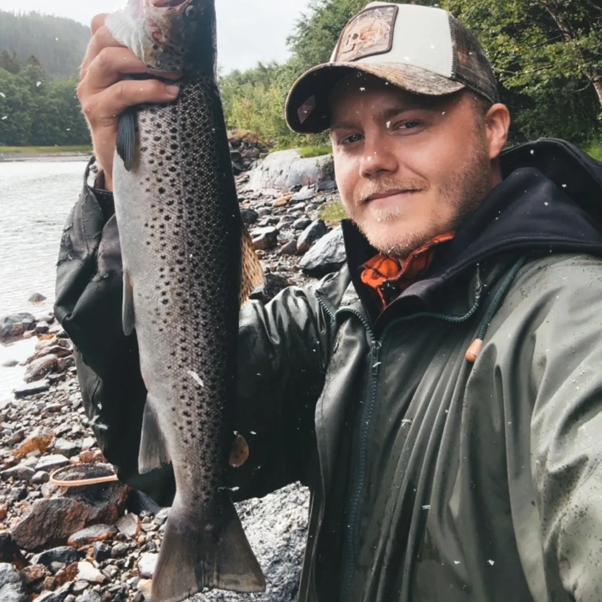 The most recent Sea trout catches on Fishbrain