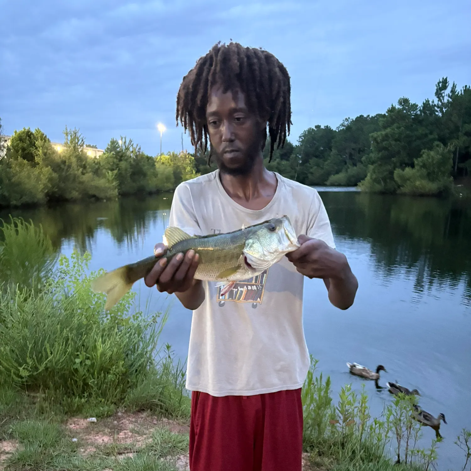 catch
