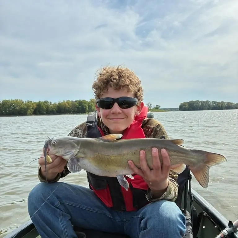 Channel catfish caught on Fishbrain