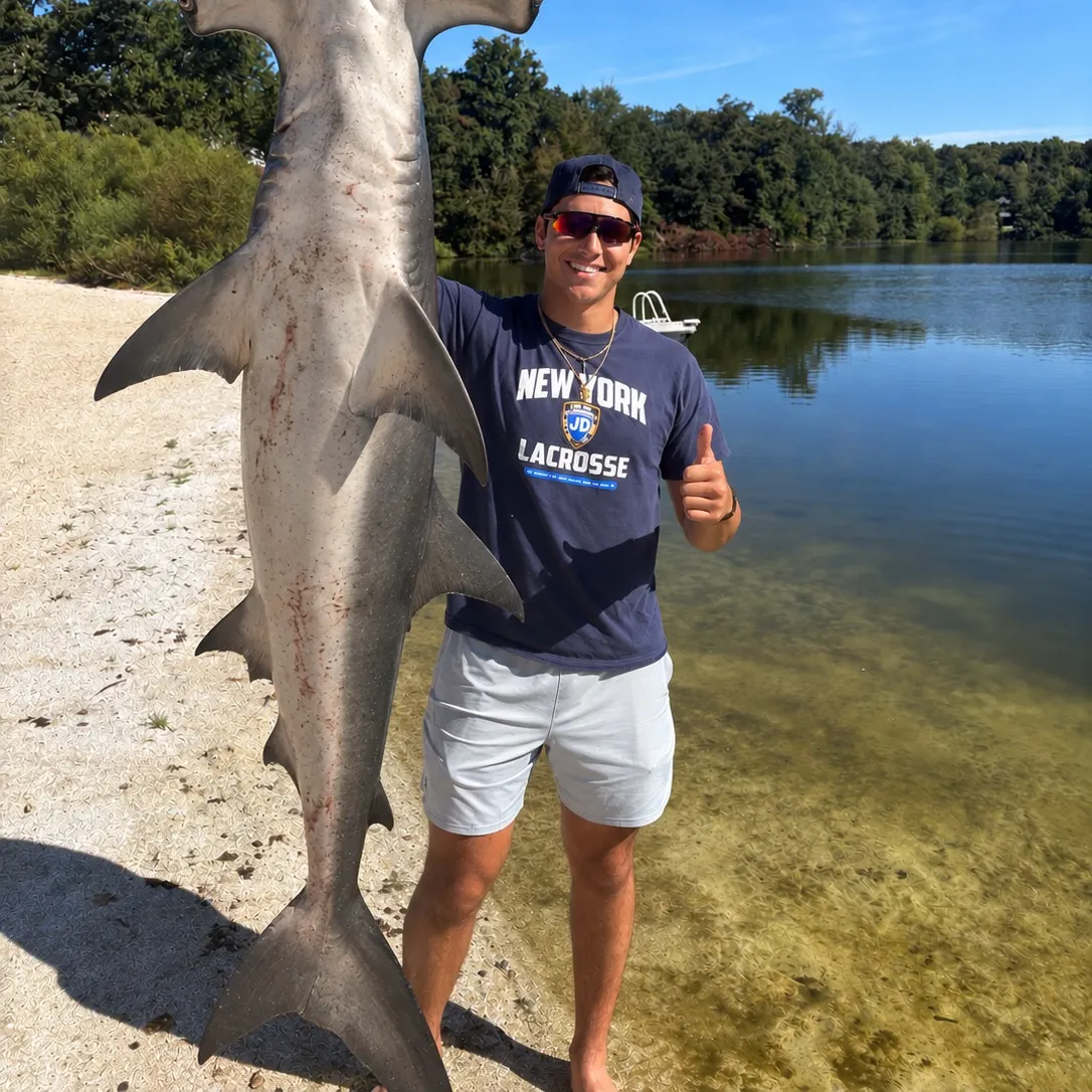 The most recent Scalloped hammerhead shark catches on Fishbrain