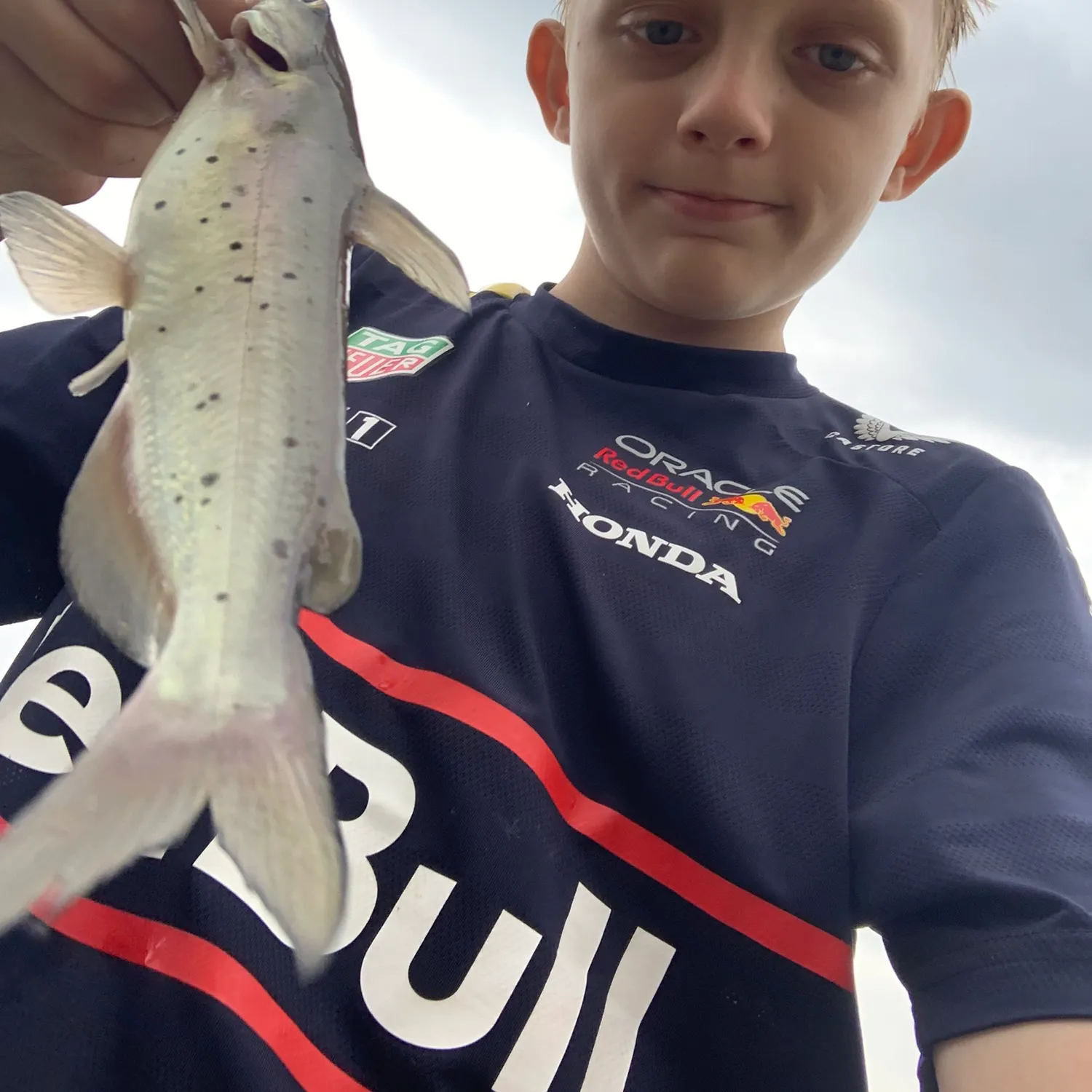 Channel catfish caught on Fishbrain