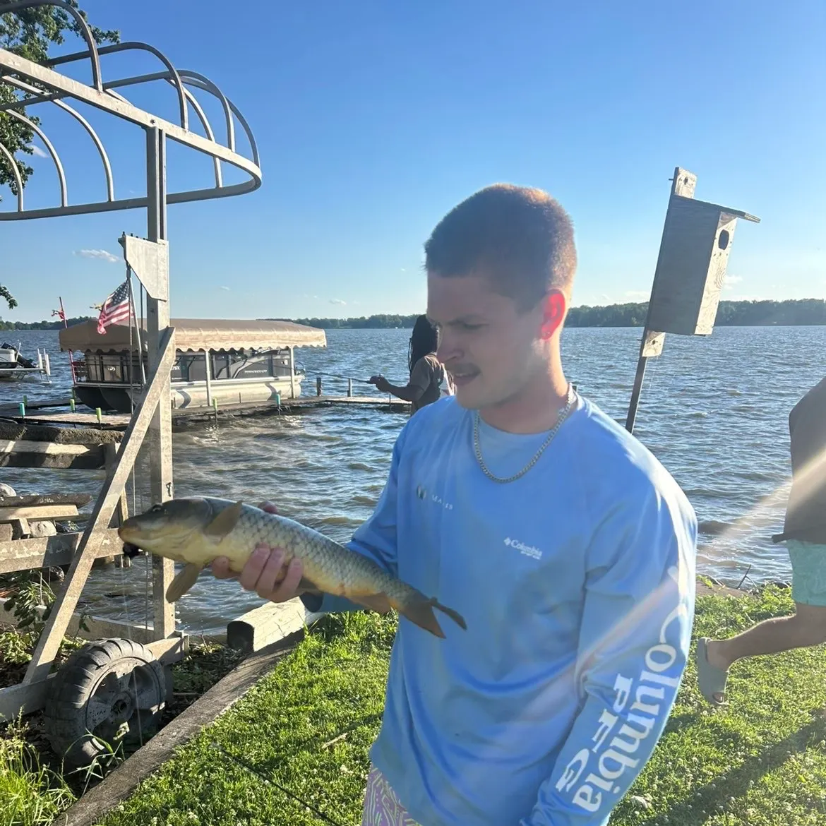 The most recent Grass carp catches on Fishbrain