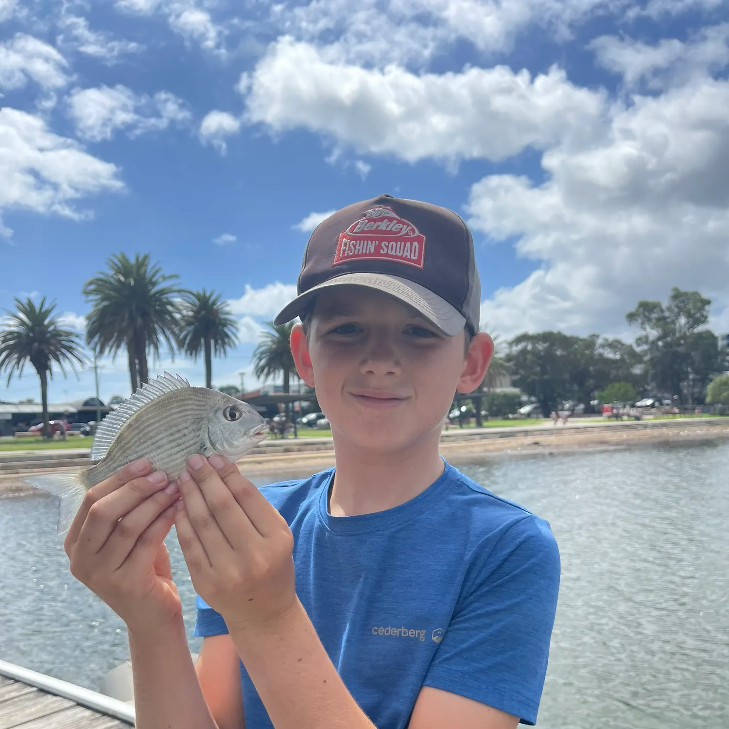 The most recent Surf bream catches on Fishbrain