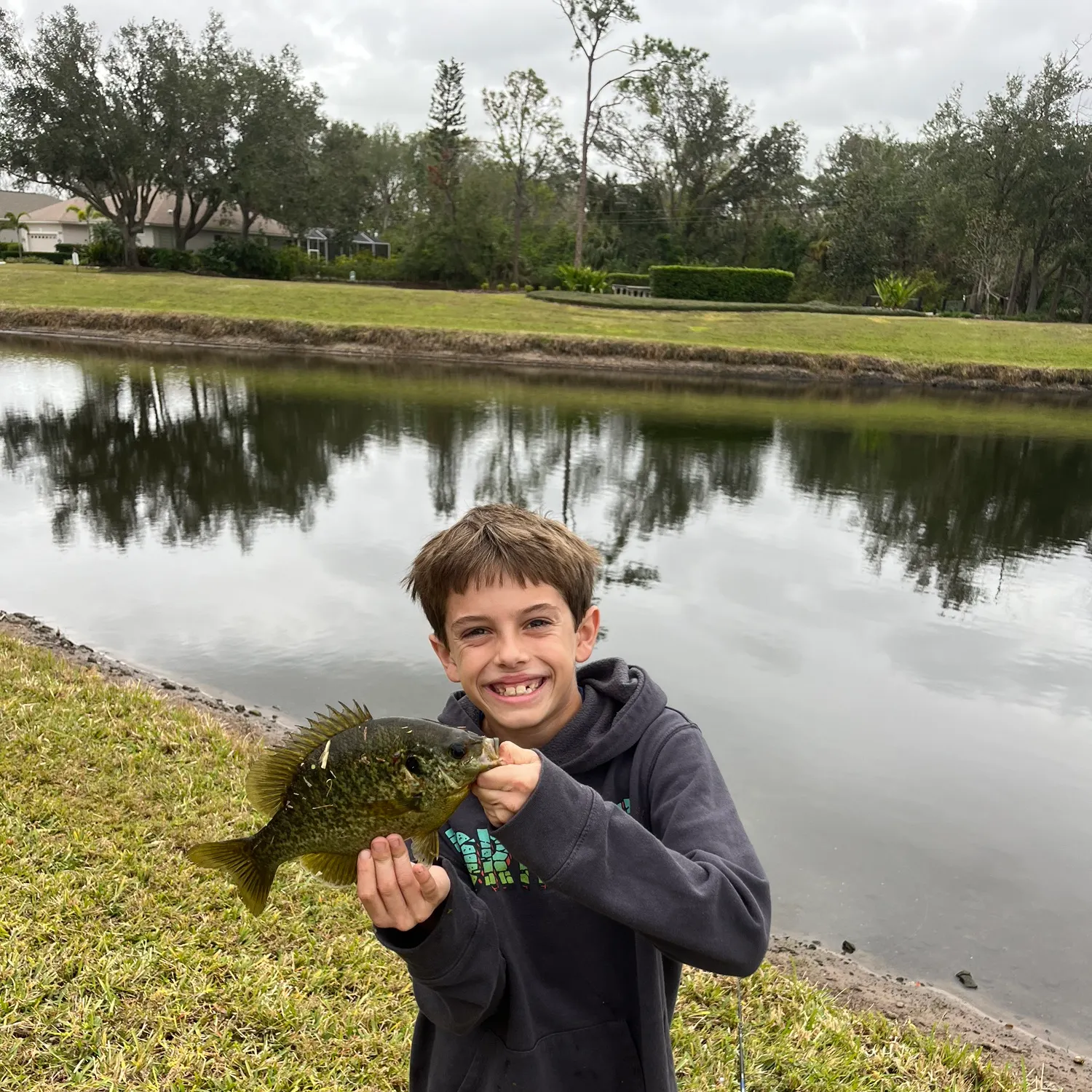 The most popular recent Redear x bluegill catch on Fishbrain