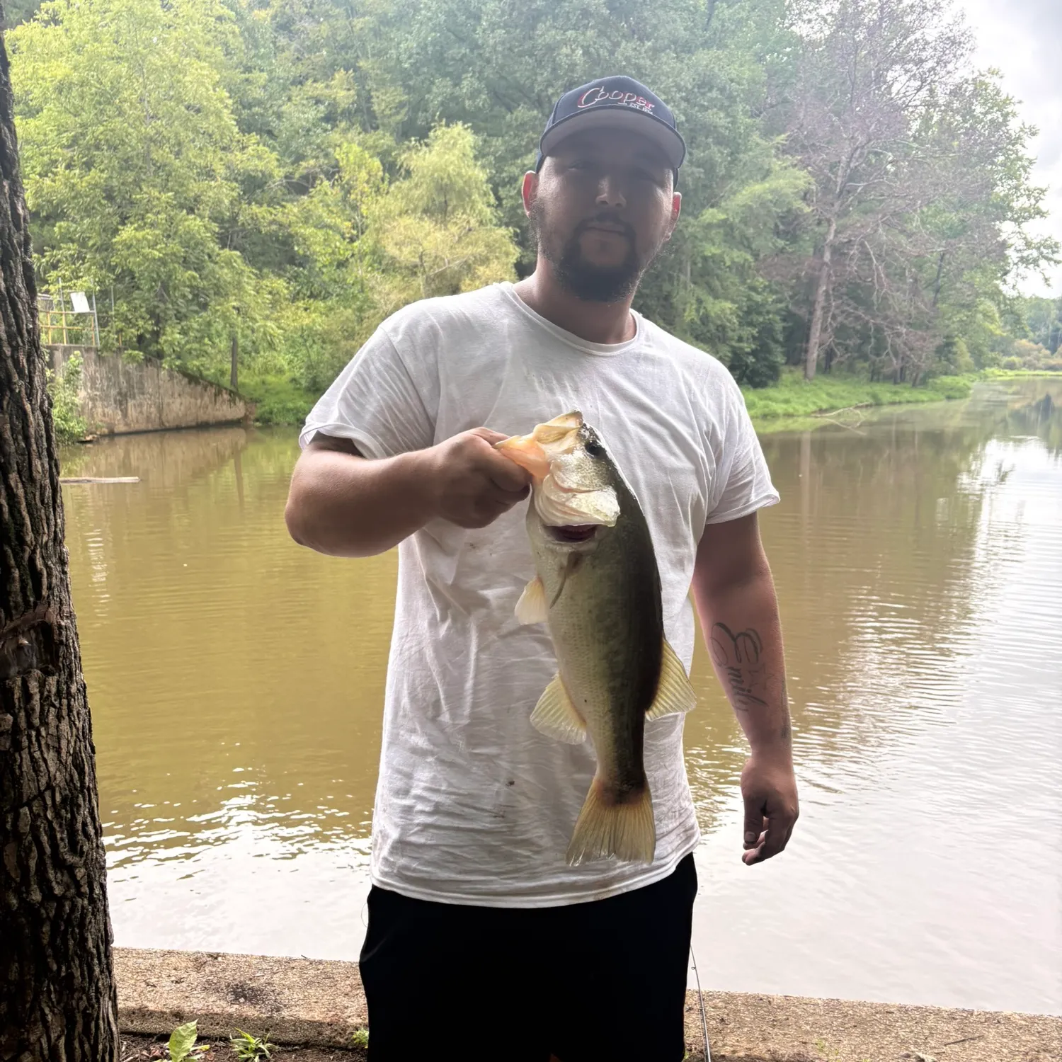 Largemouth bass caught on Fishbrain