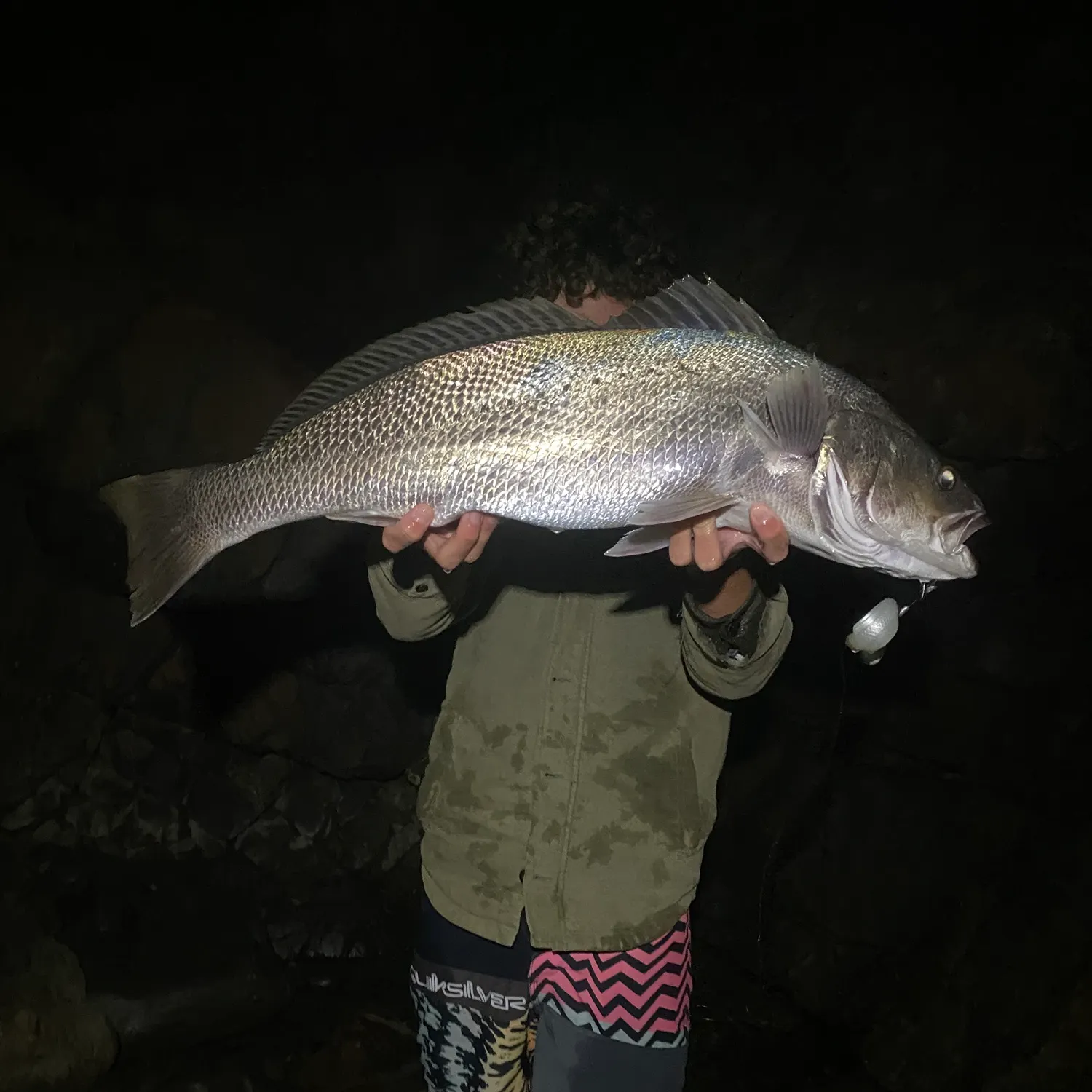 The most recent Japanese meagre catches on Fishbrain