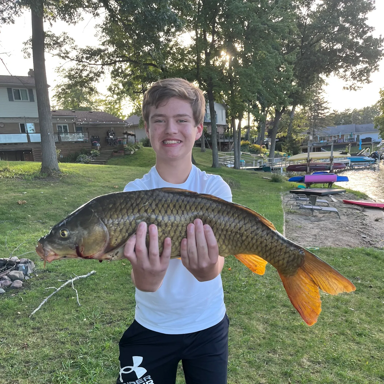 Common carp caught on Fishbrain