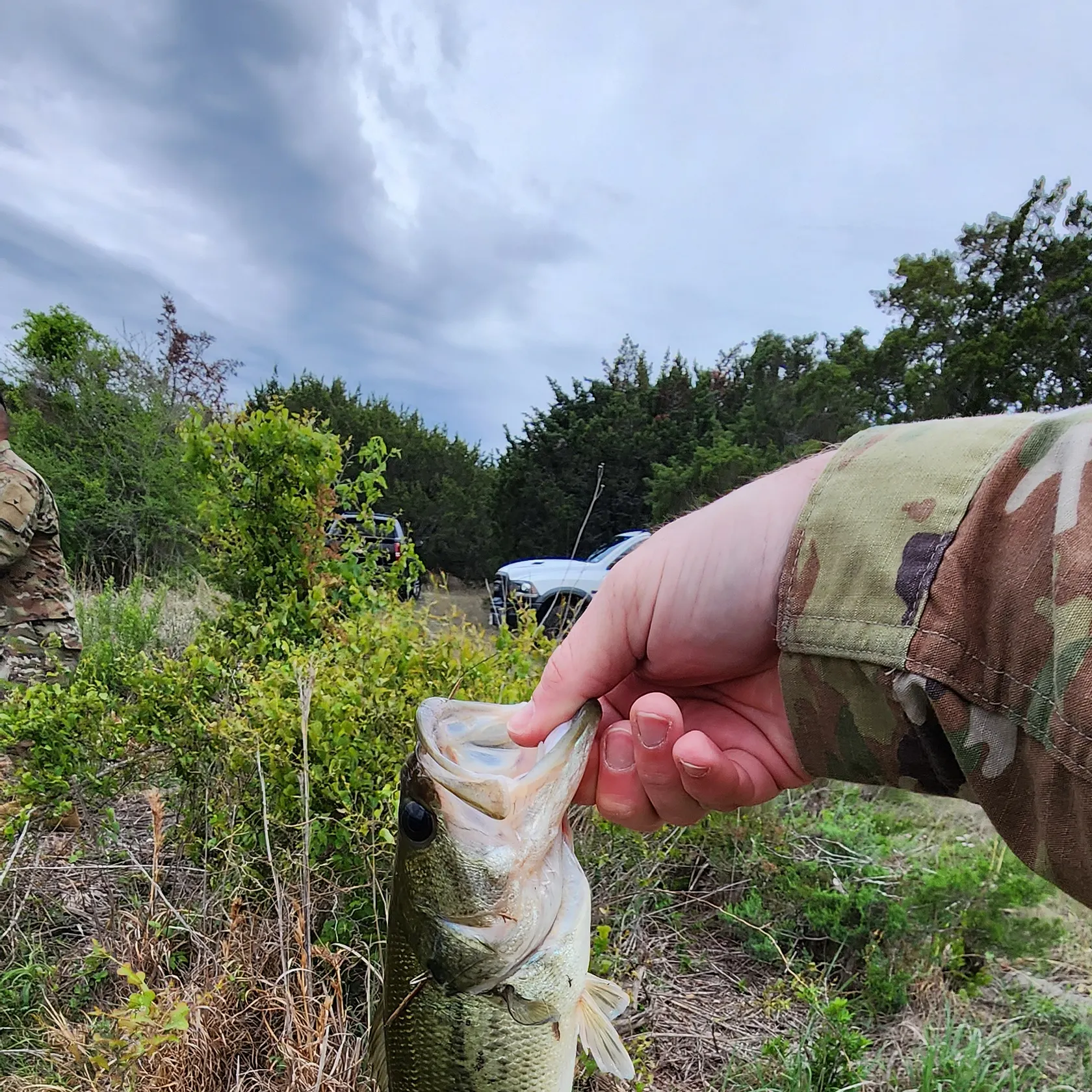angler catch