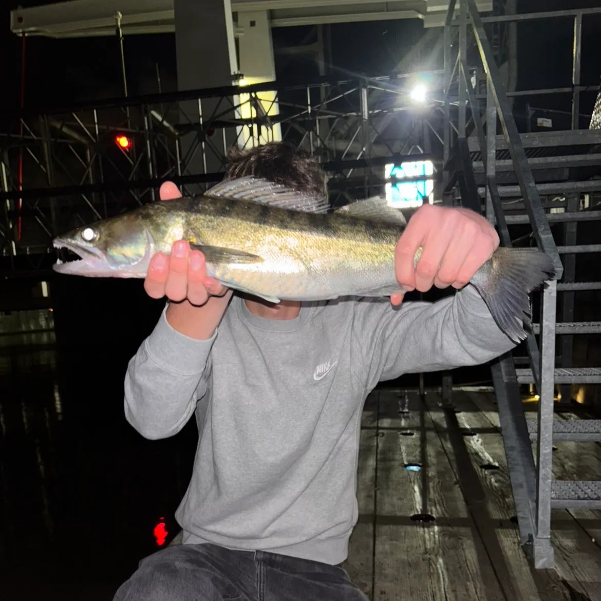 Zander caught on Fishbrain