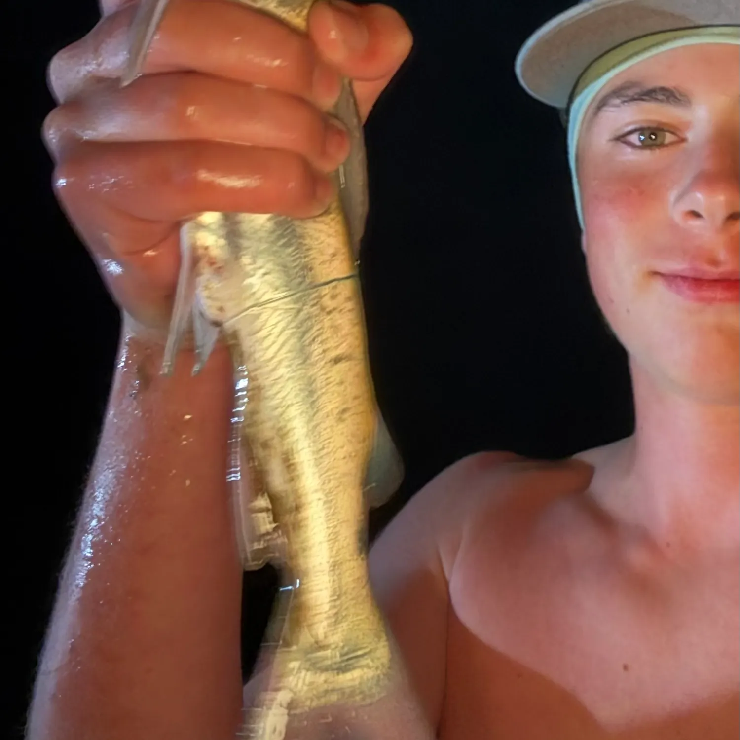 Hardhead sea catfish caught on Fishbrain