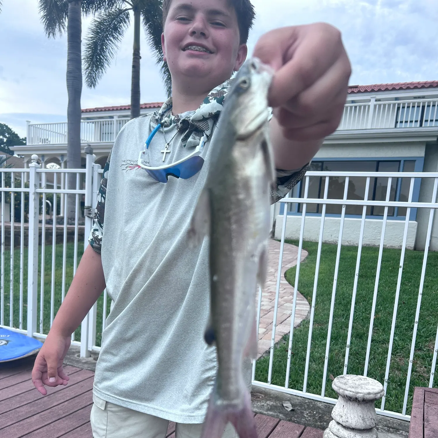 The most recent Hardhead sea catfish catches on Fishbrain