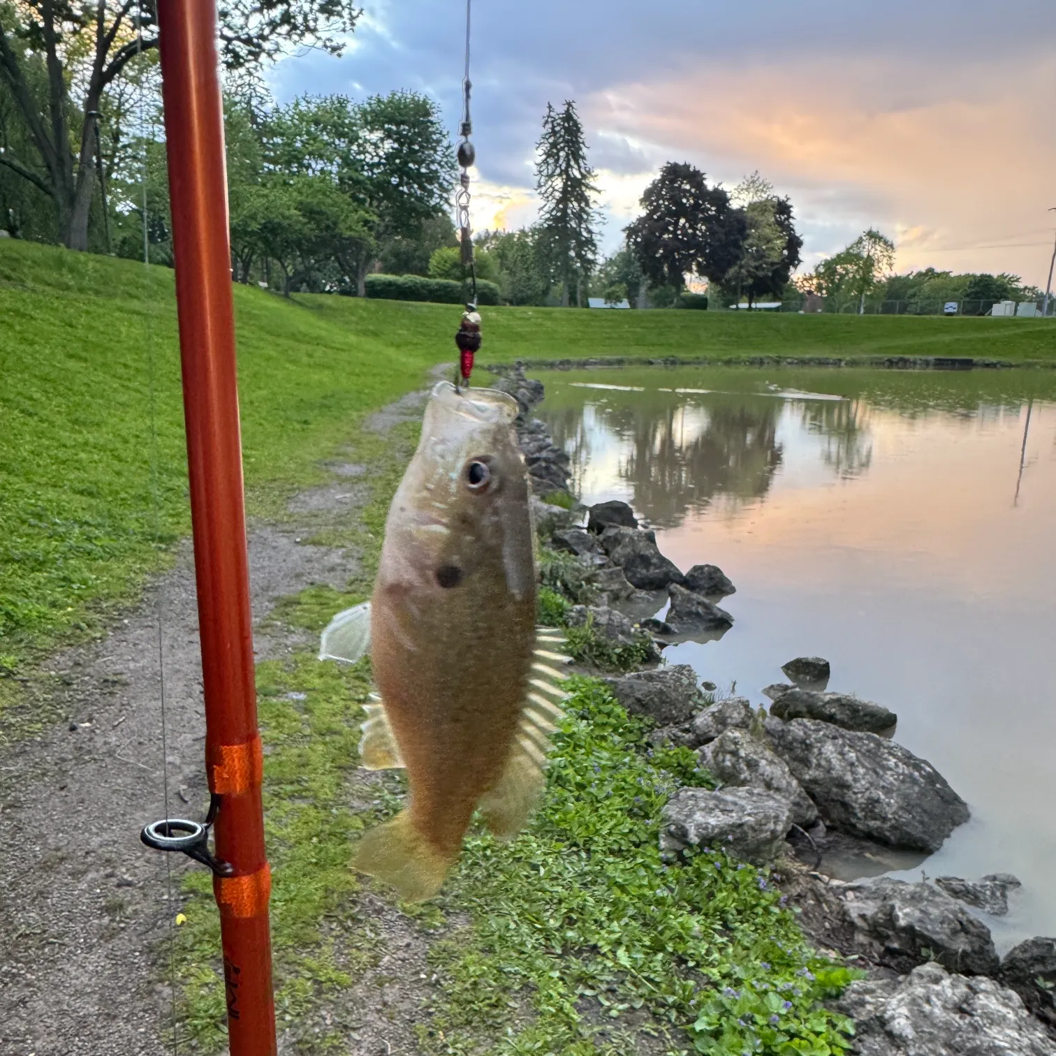 catch