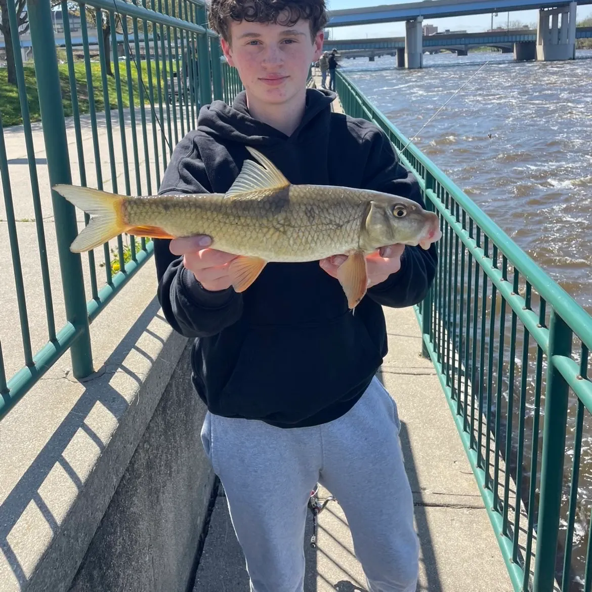 The most recent River redhorse catches on Fishbrain