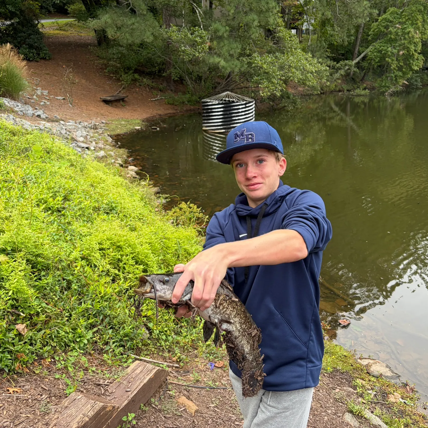 Brown bullhead caught on Fishbrain