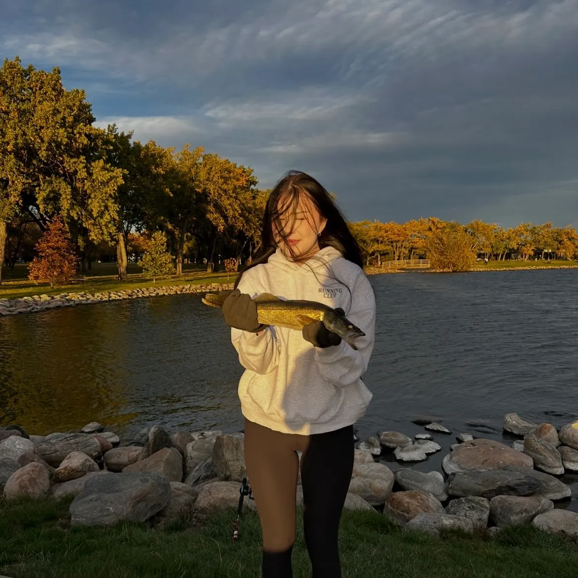 Walleye caught on Fishbrain