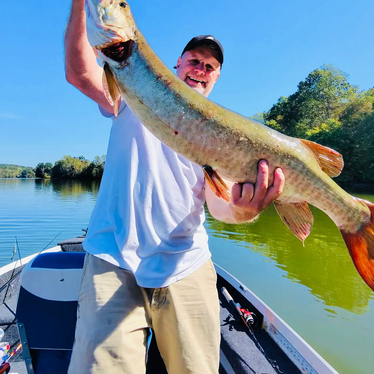 The most recent Muskellunge catches on Fishbrain