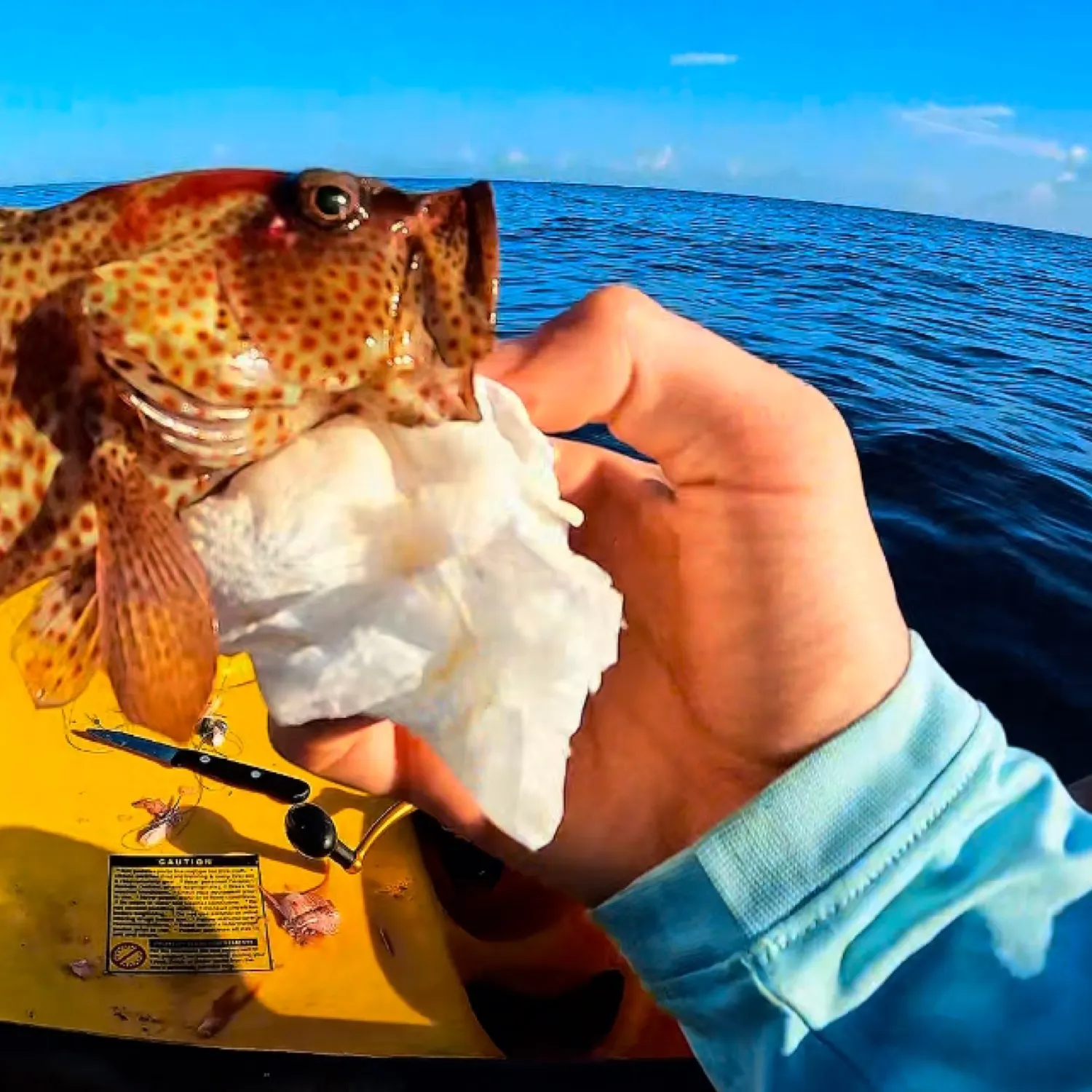 most liked catch image
