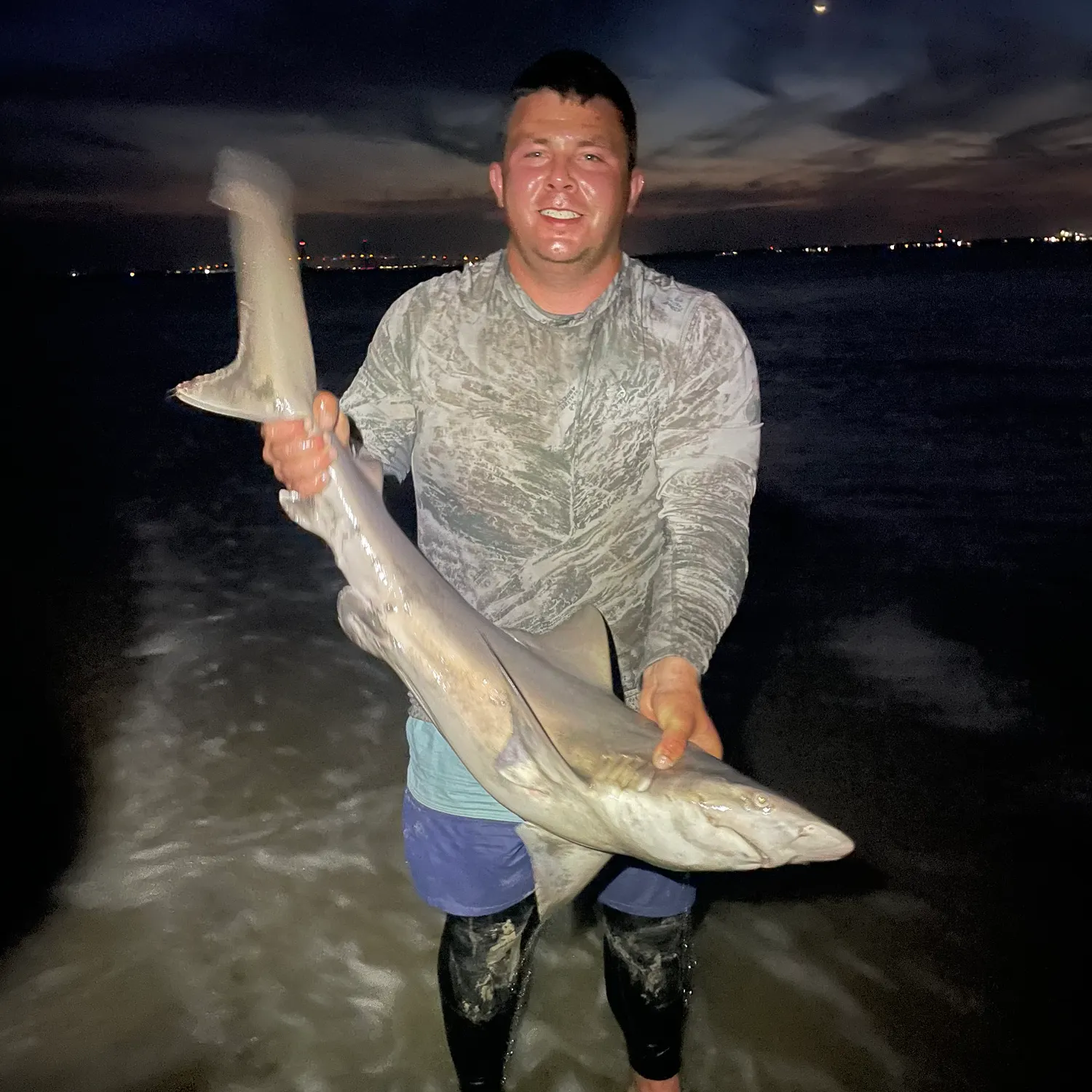 The most recent Sandbar shark catches on Fishbrain