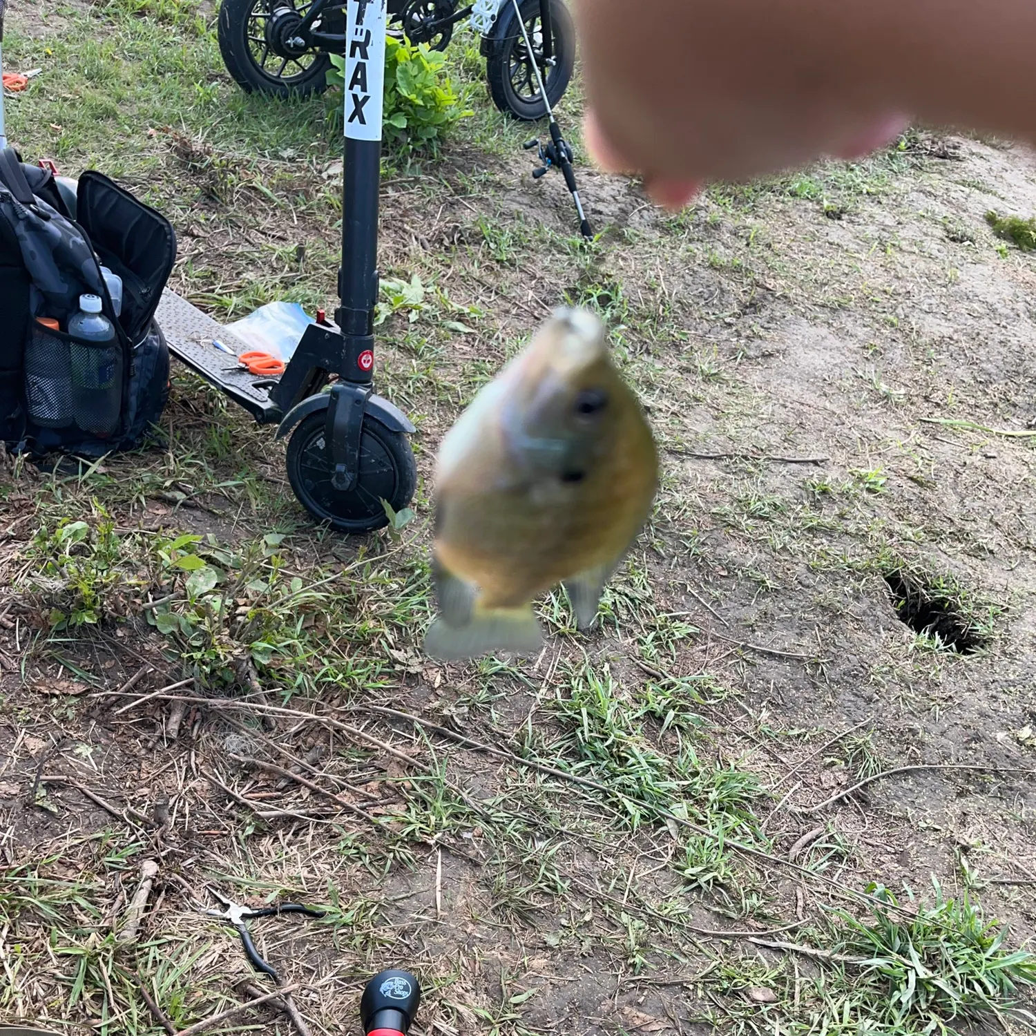 catch