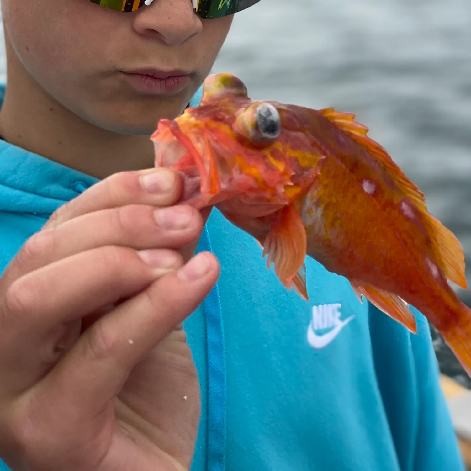 The most recent Honeycomb rockfish catches on Fishbrain